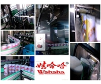 Wahaha Group-Babao porridge production line